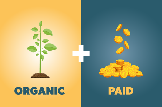 Kamreno | Paid vs. Organic Promotional Content: How to Build a Smarter Growth Strategy